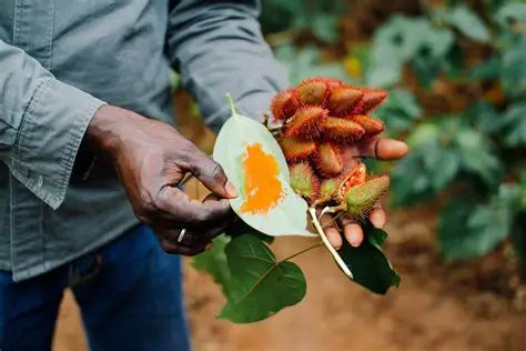 Spice farms,Stone town & Prison island