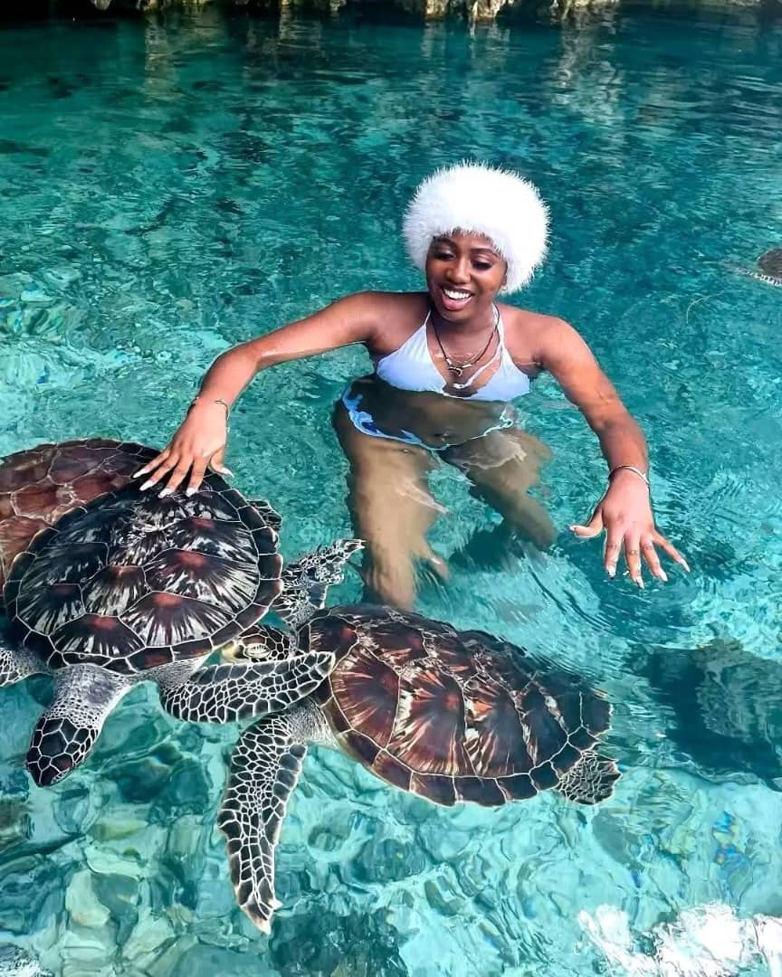 Mnemba island,Baraka seaturtles aquarium & Sunset at kendwa beach