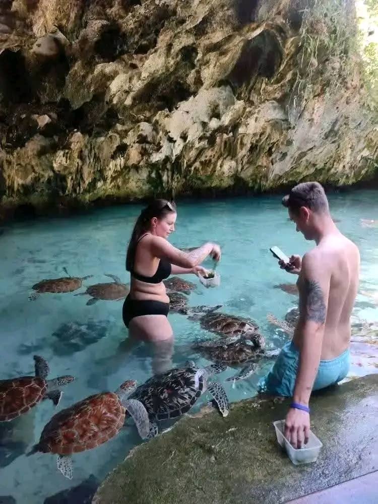 Mnemba island,Baraka seaturtles aquarium & Sunset at kendwa beach